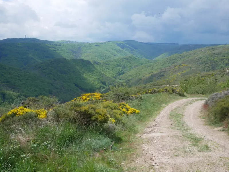 Vue sur les chemins de randonnées du Cantal