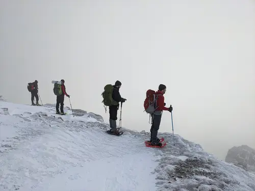 4 randonneurs en raquette en haut du Honneck, dans les Vosges, sous la Neige