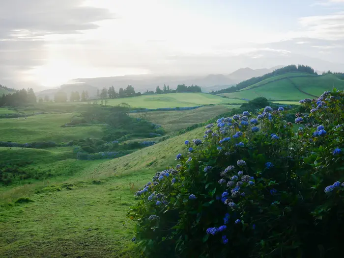 Vue sur la campagne de l'île de San Miguel au Açores
