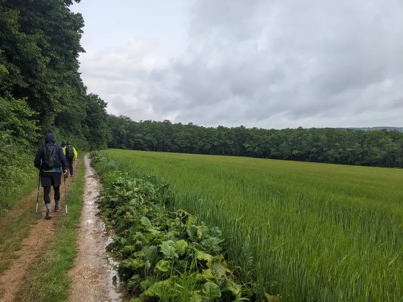Les champs des environs de Nancy