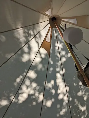 Intérieur tente Sybley 400 Canvascamp, vue de la toile avec les arbres en ombres chinoises