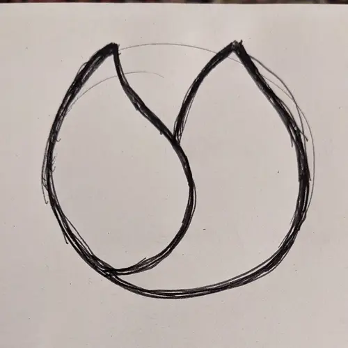 Logo Amavita représentant une eldeweiss