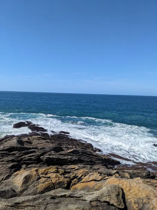 Image non détaillée mais  illustrant la note