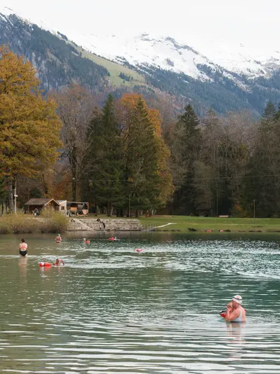 Des nageurs en eau froide dans le lac bleu de Morillon, le 31 octobre 2025