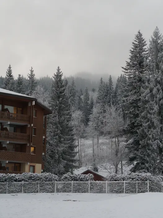 Vue de la forêt et de l'un immeuble de la station sous la neige